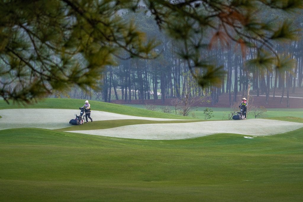 Golfers on a Silk Path Dong Trieu green lined with mature pine trees