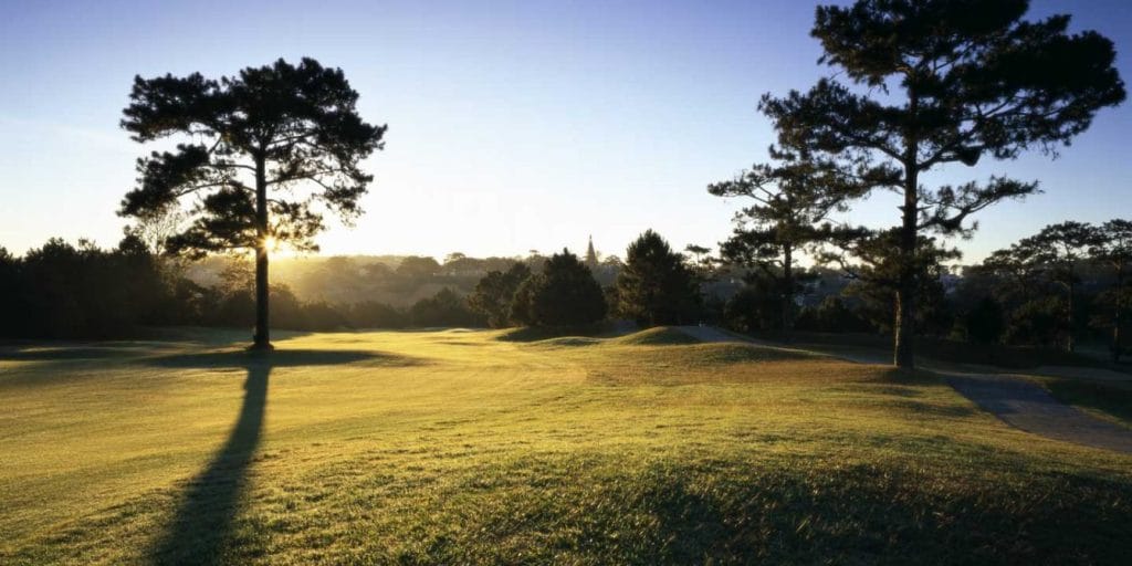 Morning sun through pine trees at Dalat Palace Golf Club