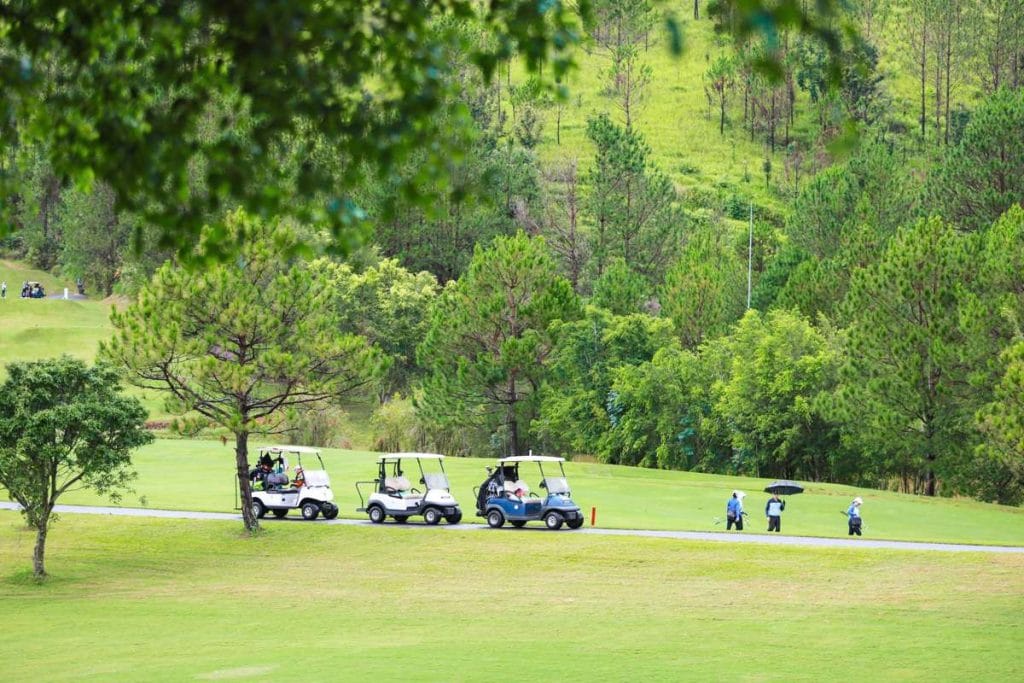 Golf carts on a pine-lined fairway at SAM Tuyen Lam Golf Club