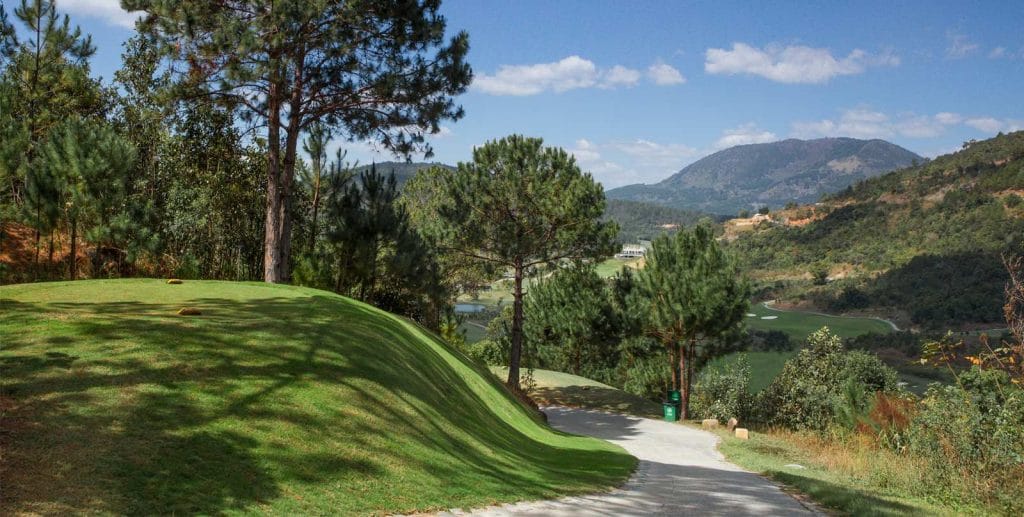 Elevated tee among pines at The Dalat at 1200 Country Club