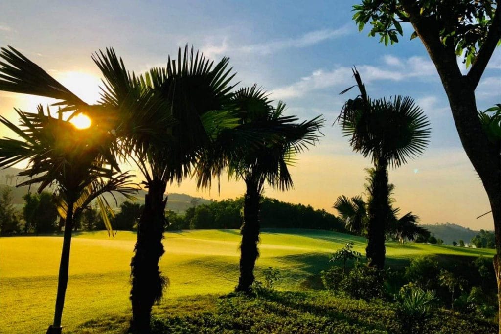 Palm trees and fairway at sunset, Yen Bai Star Golf & Resort