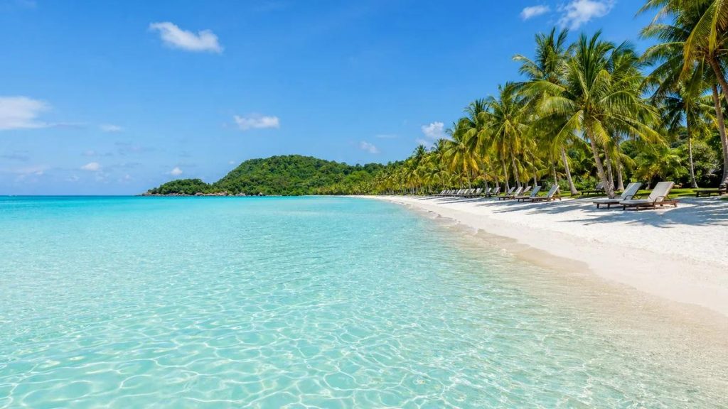 White-sand beach lined with palm trees in Phu Quoc, a beach day for non-golfers