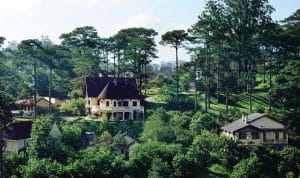 Ana Mandara Villas Dalat Resort & Spa French villas among pine trees on a hillside in Da Lat