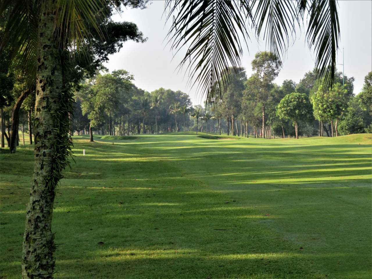 Palm-lined fairway on the West Course 10th hole at Vietnam Golf & Country Club