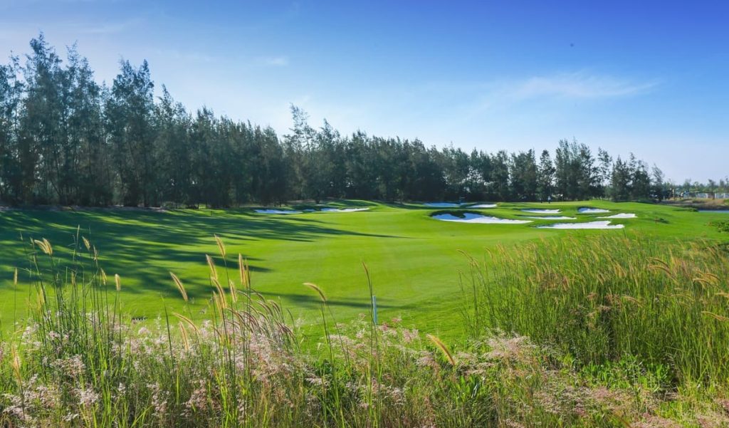 Vinpearl Golf Nam Hoi An – fairway pines reeds, Da Nang, Vietnam